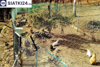 Siatki Wocławek - Siatka na woliery - zabezpieczenia ptaków w hodowli dla terenów Wocławeka